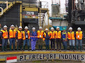 Freeport Beralih ke Tambang Bawah Tanah, Rini: Hati-hati!