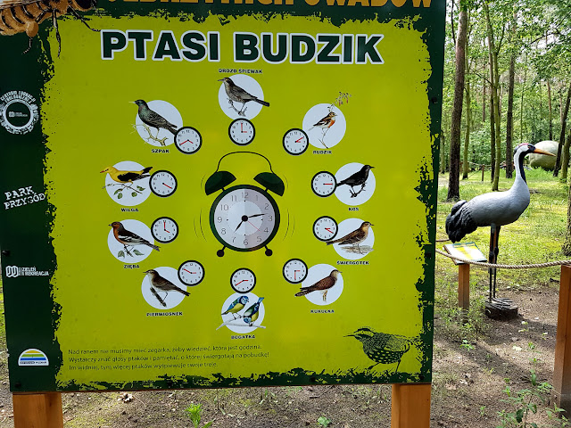 Park Olbrzymich Owadów - Ostrów Wielkopolski - podróże - podróże z dzieckiem - Jezioro Piaski Szczygliczka - jednodniowe wycieczki z dzieckiem - Wielkopolska z dzieckiem - Polska z dziećmi 