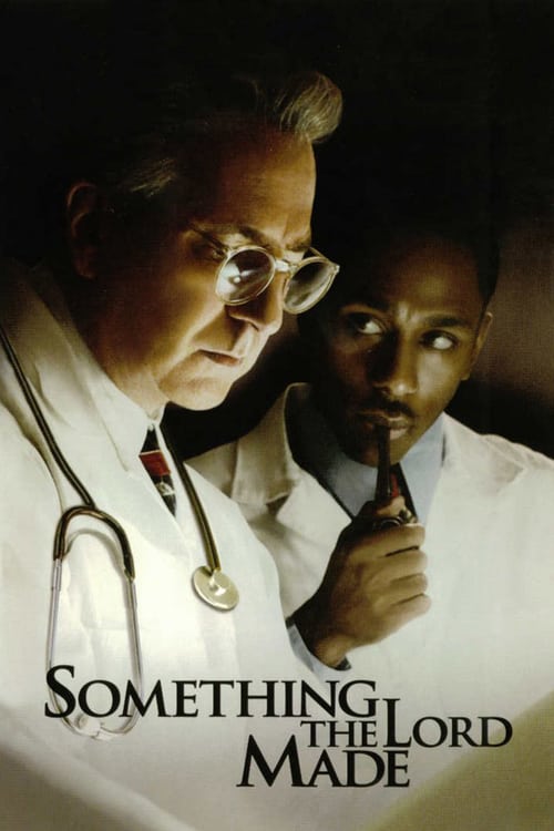 Descargar A corazón abierto 2004 Pelicula Completa En Español Latino