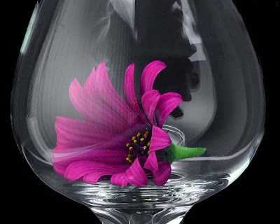 flowers-inside-glass-hd-wallpaperrs