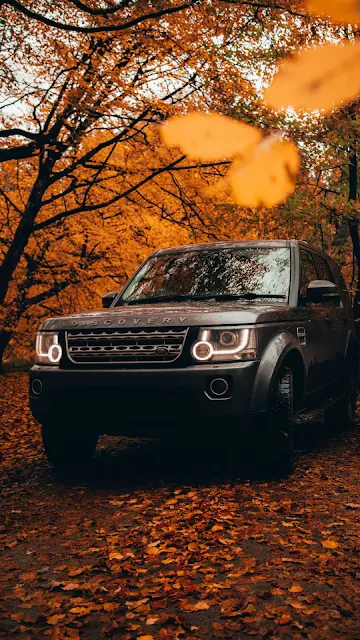 Papel de Parede Masculino Land Rover Discovery