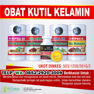 Obat Kutil Kelamin