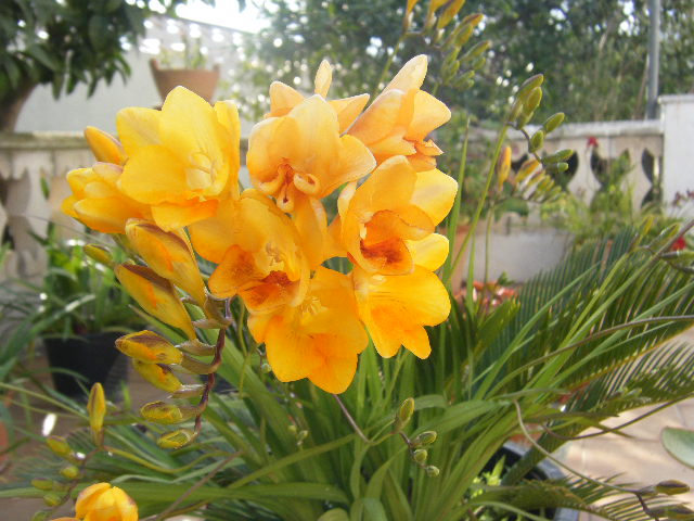2009_03010014.JPG