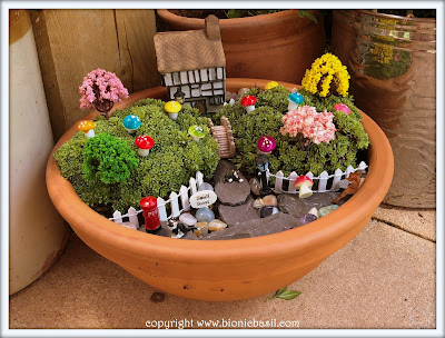 Gardening with Cats at BBHQ ©BionicBasil®  Crystal Fairy Garden