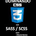 Dominando CSS3 com SASS/SCSS Completo