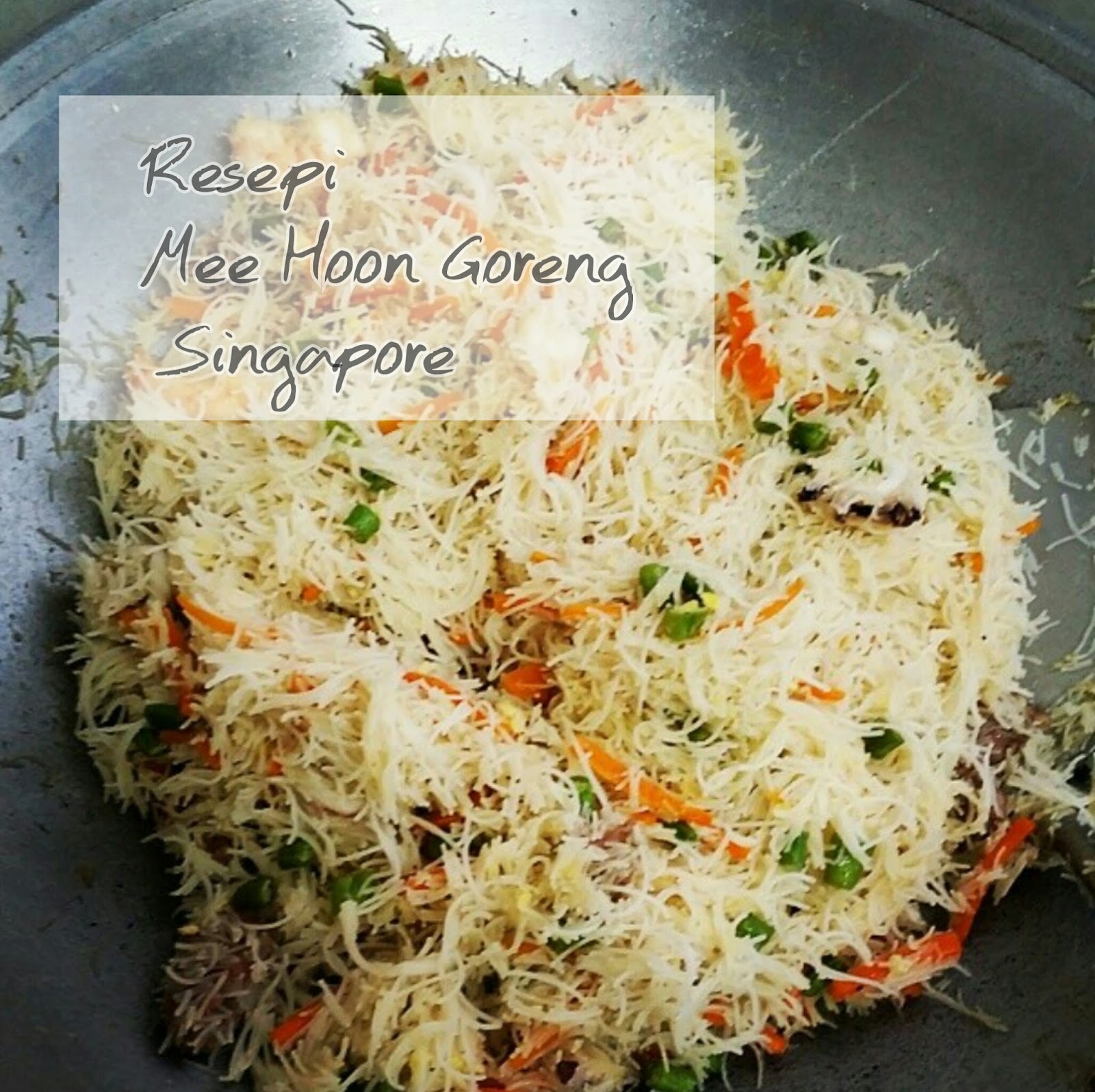 Resepi Mee Hoon Goreng Singapore Yang Simple Dan Sedap 