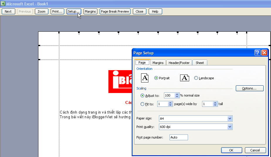 Cách in trong excel 2003