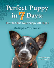 Puppy Primer Book – PDF Download the puppy primer pdf download