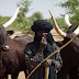 Fulani herdsmen block Asaba-Benin expressway in Delta