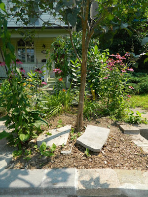 The Pocket front garden clean up after by Paul Jung Gardening Services Toronto