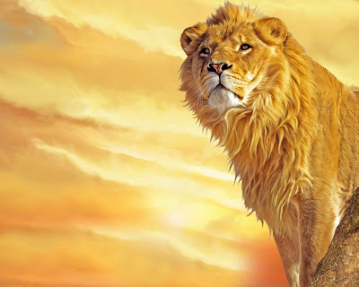 3D Lion Wallpaper 4