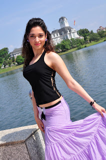 TAMANNA IN BADRINATH MOVIE STILLS