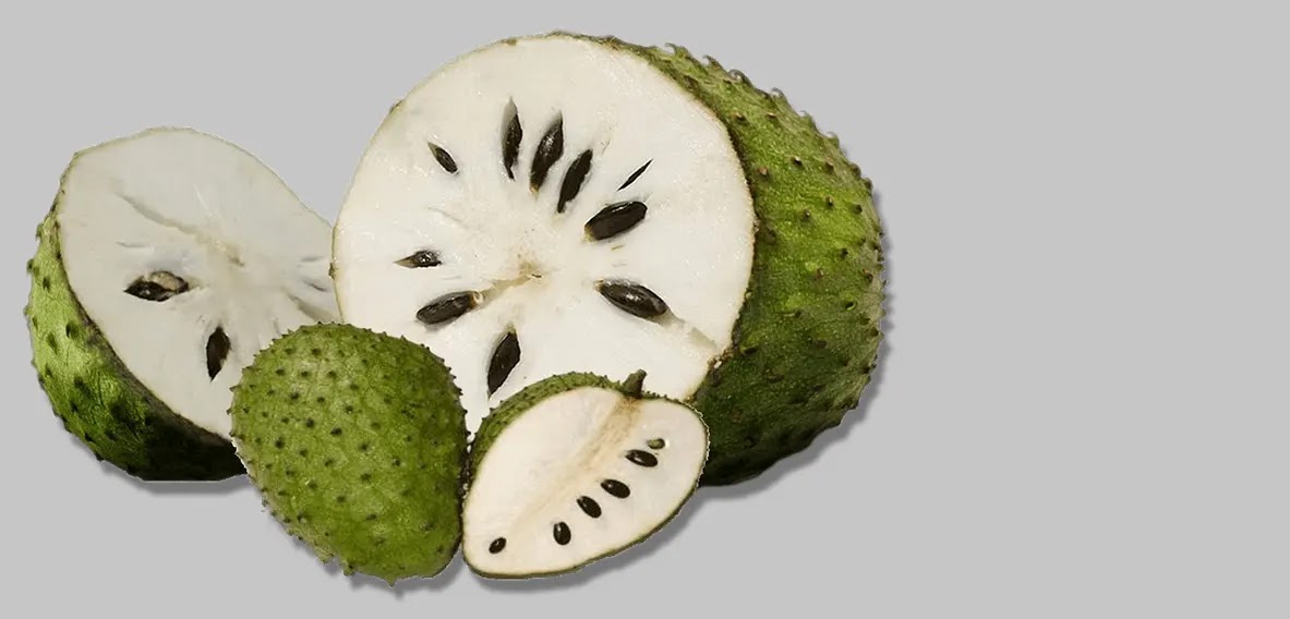 Mengenal Buah Sirsak Lebih Dekat