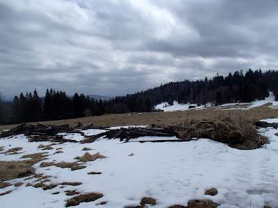 Rezerwat biała Woda, Szczawnica, ciekawe szlaki turystyczne w Szczawnicy, grzyby 2018, grzyby w marcu