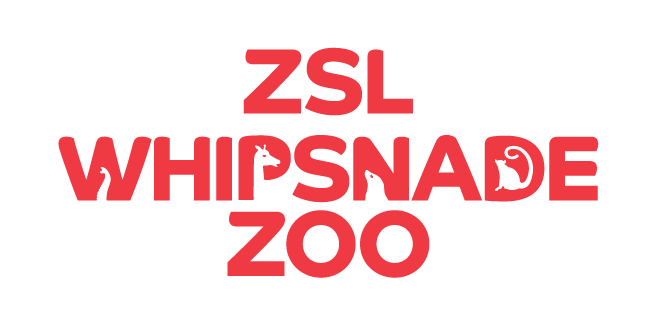 Whipsnade zoo jobs