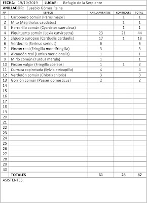 Anillamientos de la jornada