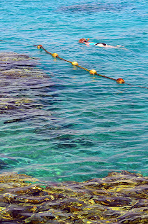 snorkeling in red sea at coral beach nature reserve eilat Israel