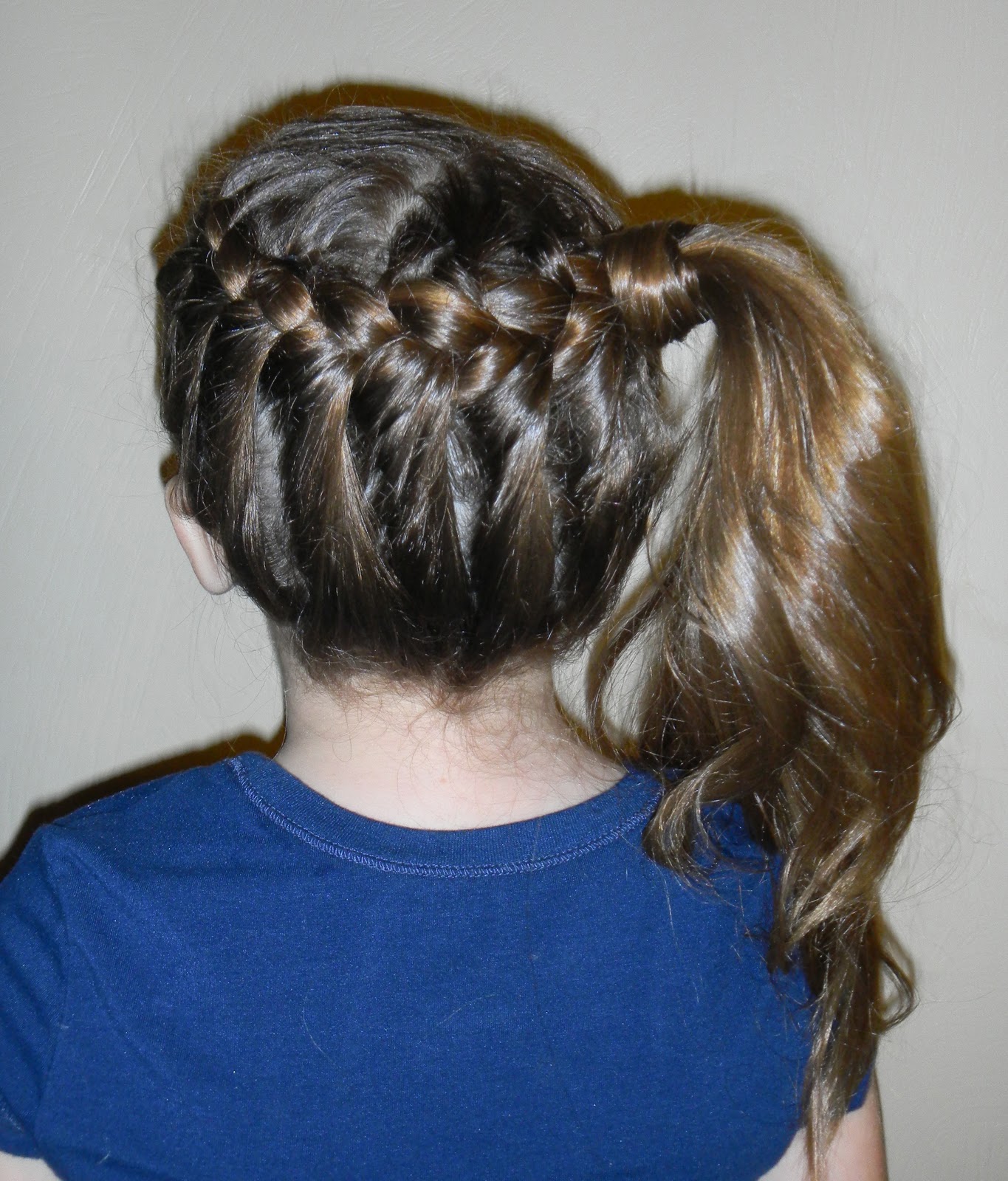Braid And Ponytail Hairstyles
