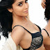 Shriya Saran 2014 Photos Collection