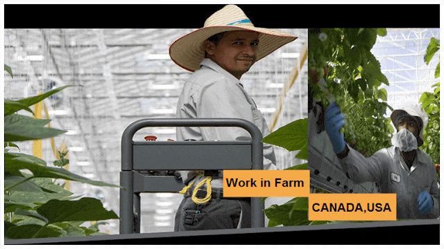 Job search in Canada and USA  at Farms with High Salary