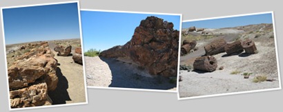View album