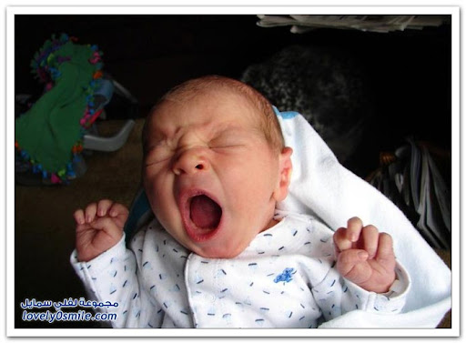 Cute babies with their funniest yawn