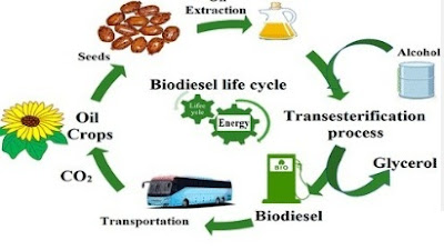 biodiesel