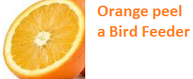 Orange peel a Bird Feeder - Oranges citrus fruit peel (Santre Ke Chilke) 