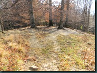 DSCN5473