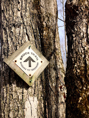 Bruce Trail blaze.