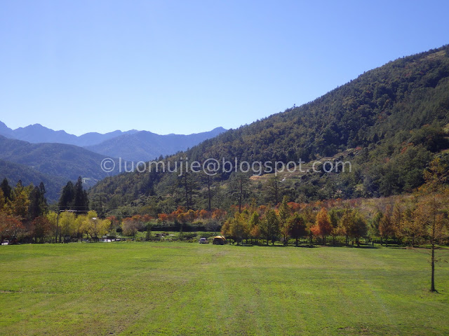 Wuling Farm maple autumn foliage