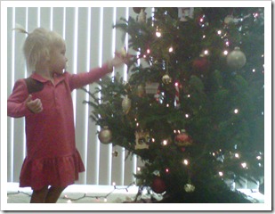 IMG00432-20111128-1555