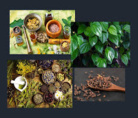 Tanaman  rempah-rempah herbal  digunakan dalam produk herbal untuk menyembuhkan berbagai jenis penyakit. Beberapa contoh Tanaman rempah-rempah herbal yang umum digunakan adalah lada, kayu manis, kurkuma, jahe, dan bawang putih.