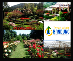  Taman Bunga Cihideung  Wisata Bandung