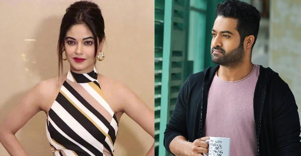 those who abuse are not my fans says ntr, jr ntr reaction over abusing ladies, ntr about abusing woman, jr ntr reaction over meera chopra controversy, movie news, latest tollywood news, saycinema,