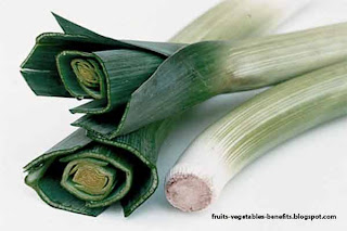 benefits_of_eating_leeks_fruits-vegetables-benefits.blogspot.com(leeks3)