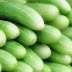 All About Cucumbers