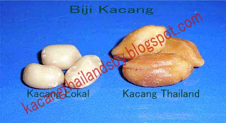 kacang mede