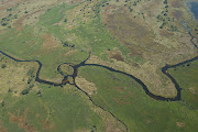 The Delta . (px okavango delta botswana )