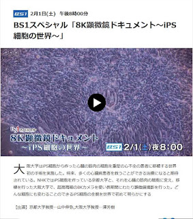 https://www4.nhk.or.jp/bs1sp/x/2020-02-01/11/33113/2225686/