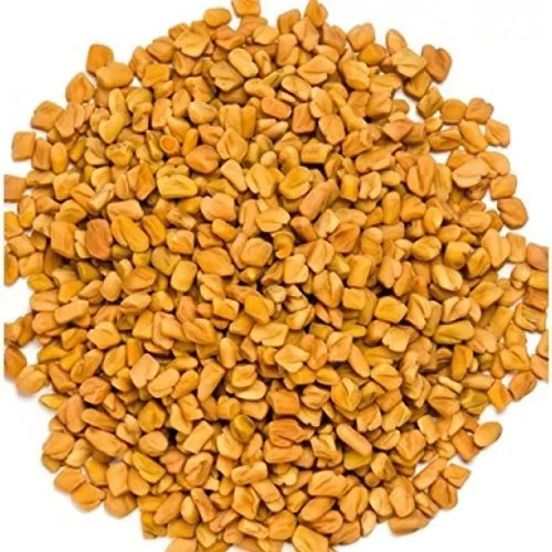 घरेलू नुस्खे  : मेथी दाना fenugreek seeds क्या है ,  मेथी दाना खाने के अद्भुद फायदें - जानें 