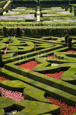 Chateau Villandry - Love garden - Maltese Cross