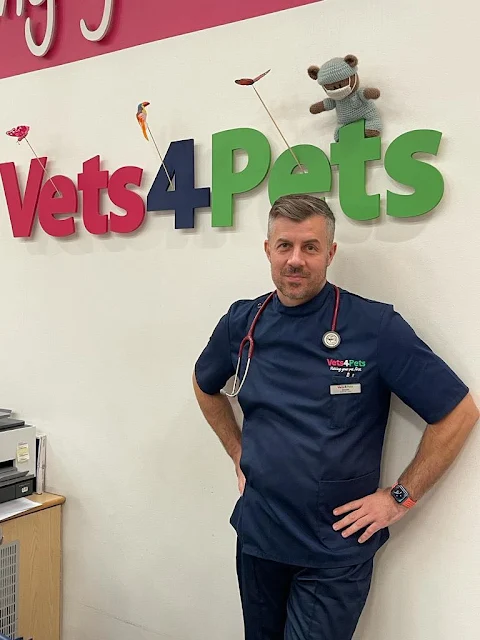 Portrait of Dimitrios Tachos, veterinary professional at Vets4Pets Liverpool