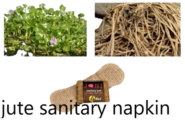 biodegradable disposable products