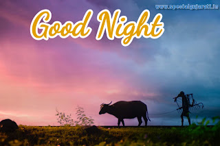 Good Night images hd Download