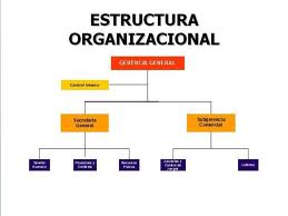 Estructura organizacional, tipos de organizaci n y