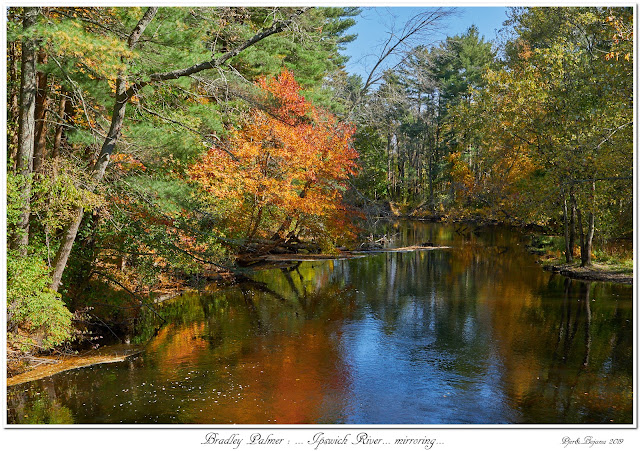 Bradley Palmer: ... Ipswich River... mirroring...