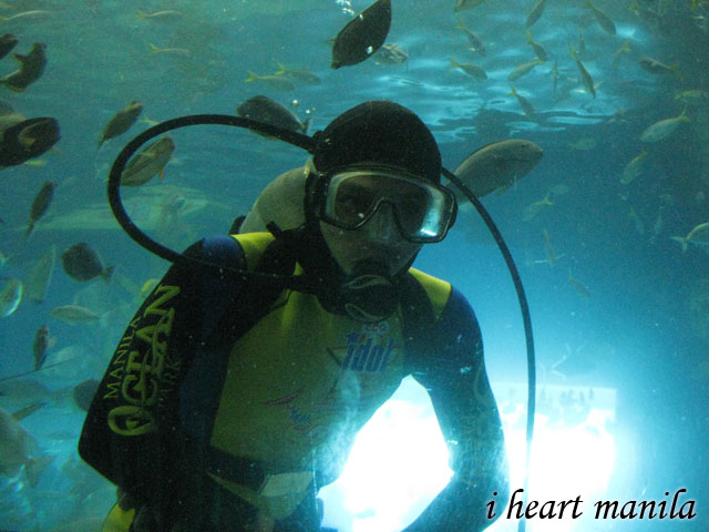 Yeah we were lucky to see fish feeding time at the Manila Ocean Park when we 