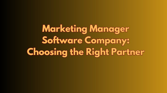 Marketing Manager Software Company Choosing the Right Partner