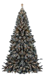Christmas Tree PNG image elements with Transparent Background